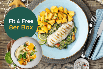 Fit & Free-Box - HOFMANNs